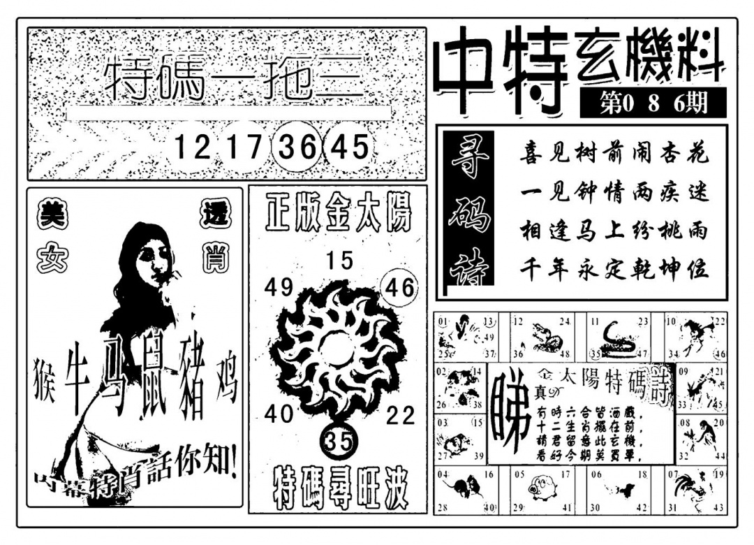 六合彩086期中特玄机料(新图)(黑白)