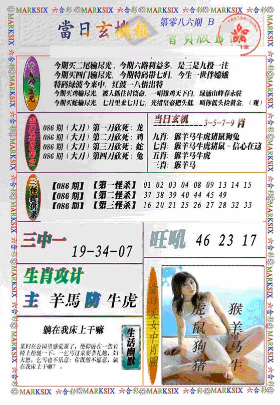 六合彩086期当日特码玄机B(新)(黑白)