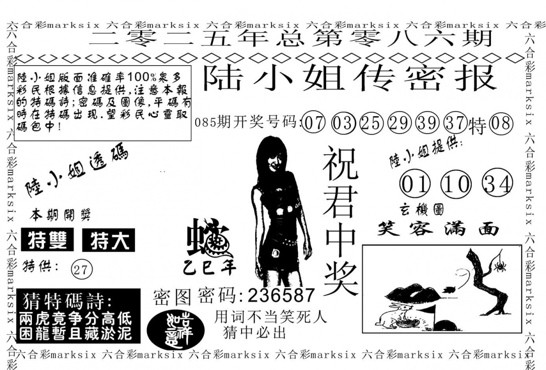 六合彩086期陆小姐传密A(黑白)