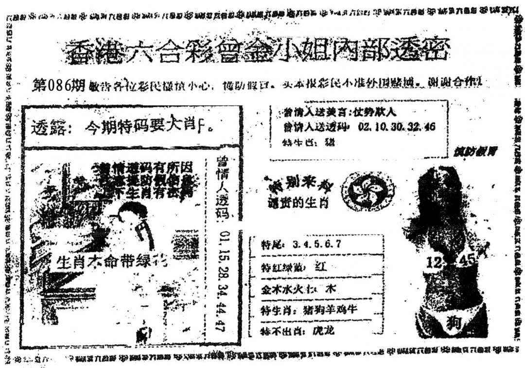 六合彩086期曾金小姐A(黑白)