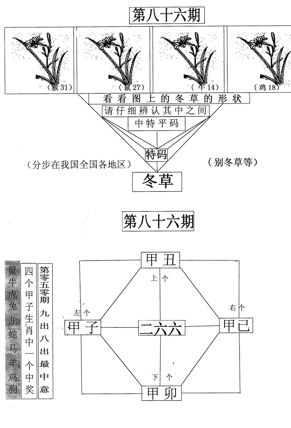 六合彩086期每期一花草(黑白)