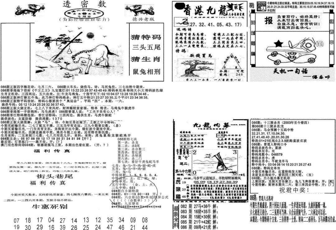 六合彩086期新透密数A(新)(黑白)
