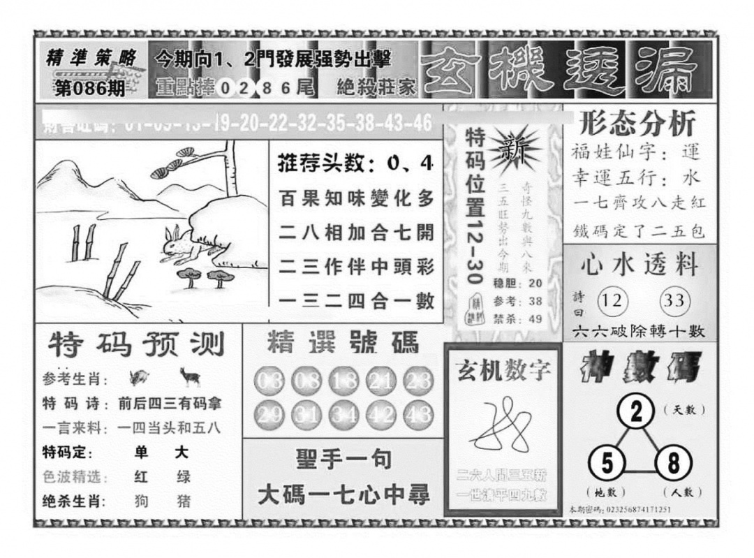 六合彩086期玄机透漏（新图）(黑白)