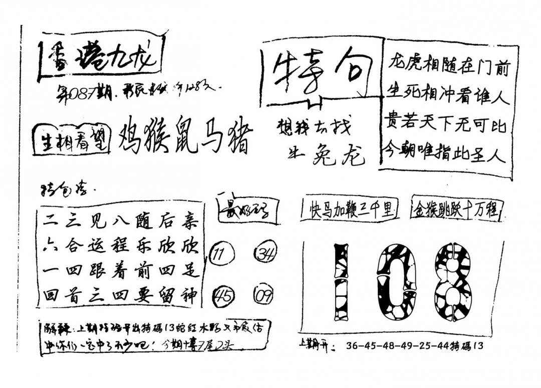 六合彩087期香港九龙(新图)手写(黑白)
