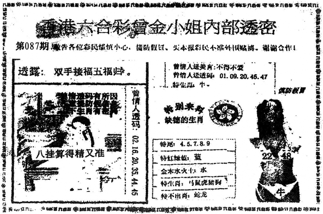 六合彩087期曾金小姐A(黑白)