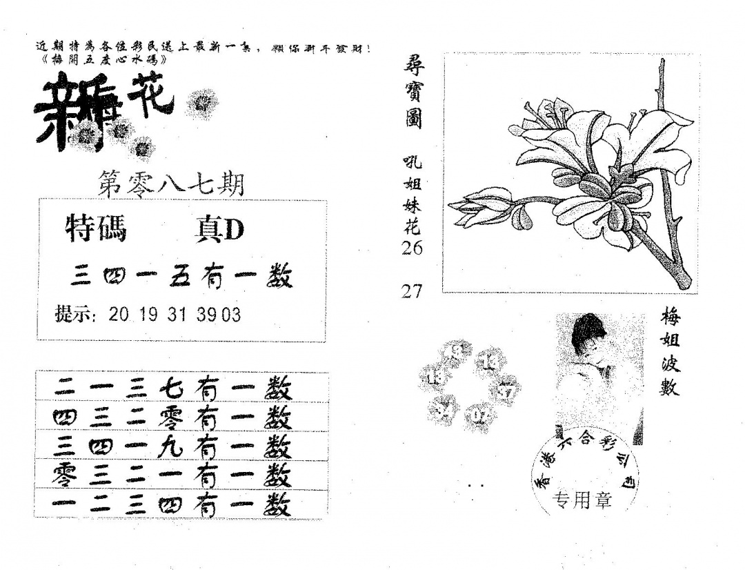 六合彩087期新花碟教(黑白)