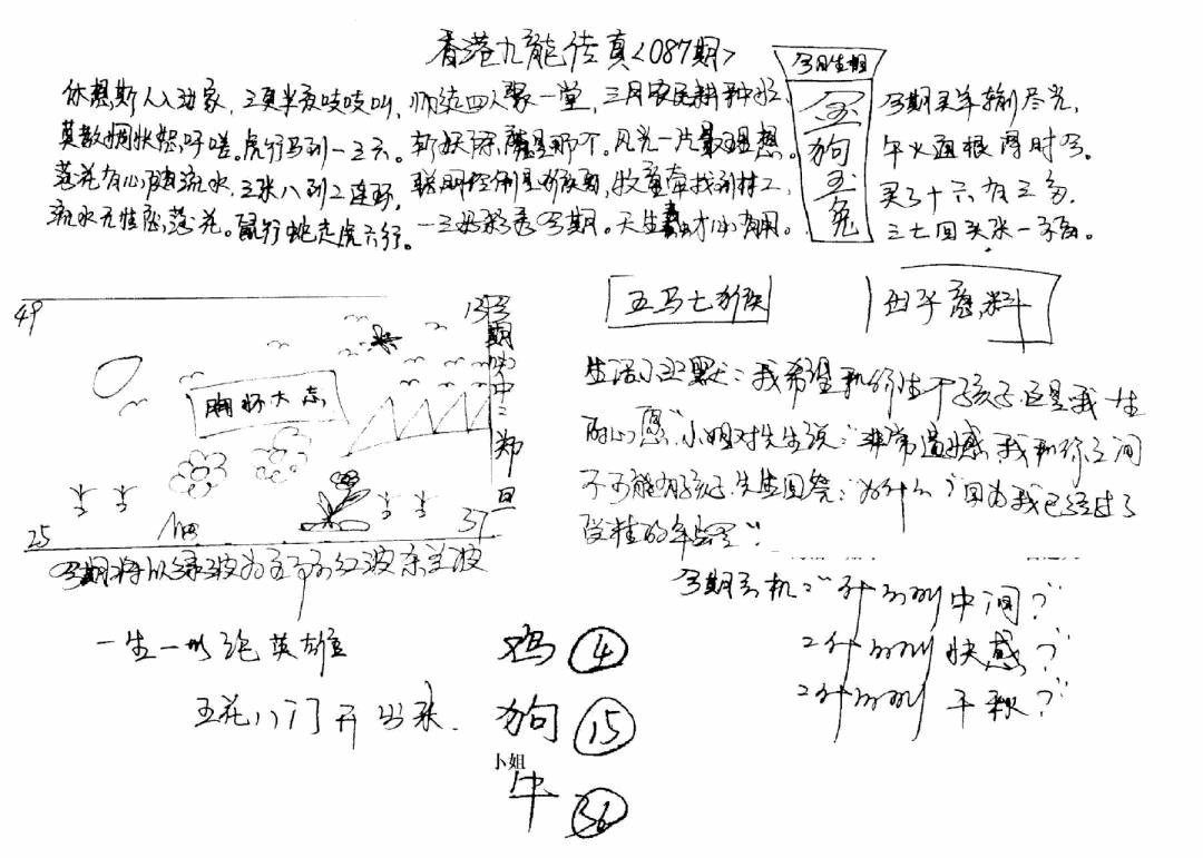 六合彩087期正版手写九龙(黑白)