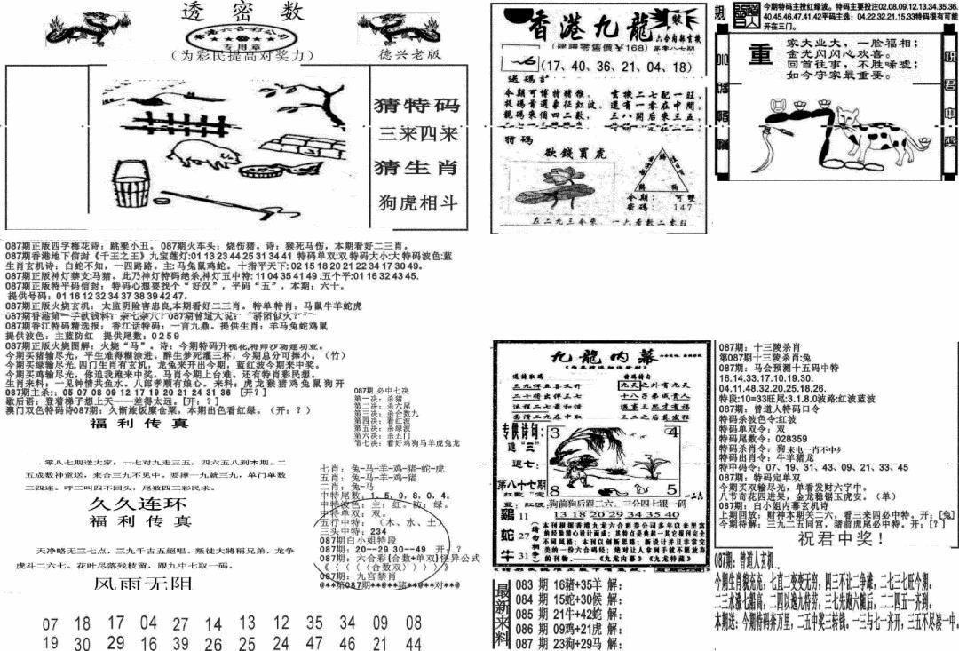 六合彩087期新透密数A(新)(黑白)