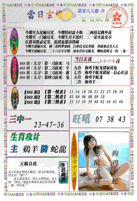 六合彩088期当日特码玄机B(新)(黑白)