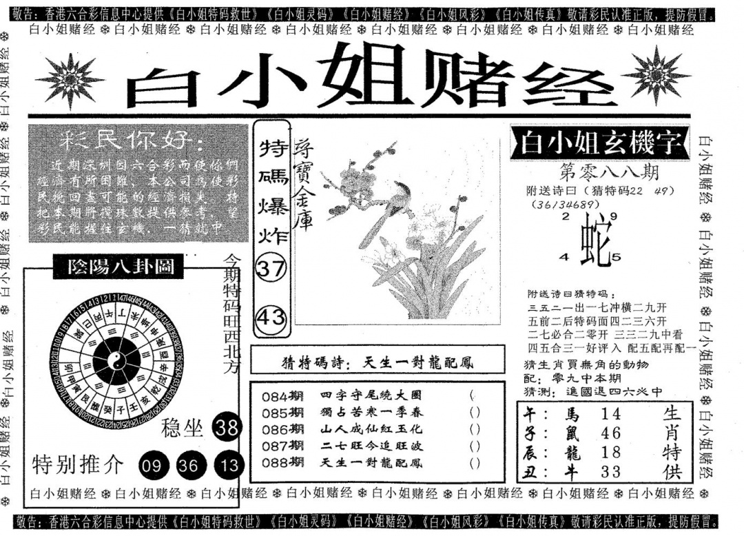 六合彩088期白姐赌经(黑白)