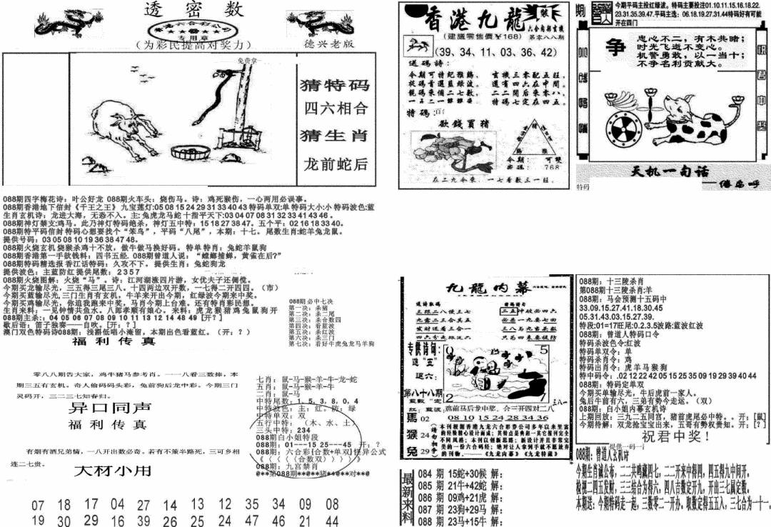 六合彩088期新透密数A(新)(黑白)