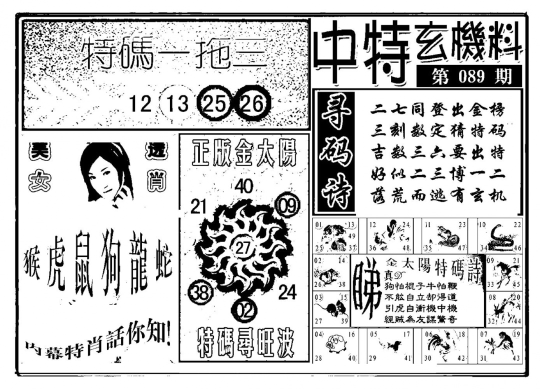 六合彩089期中特玄机料(新图)(黑白)