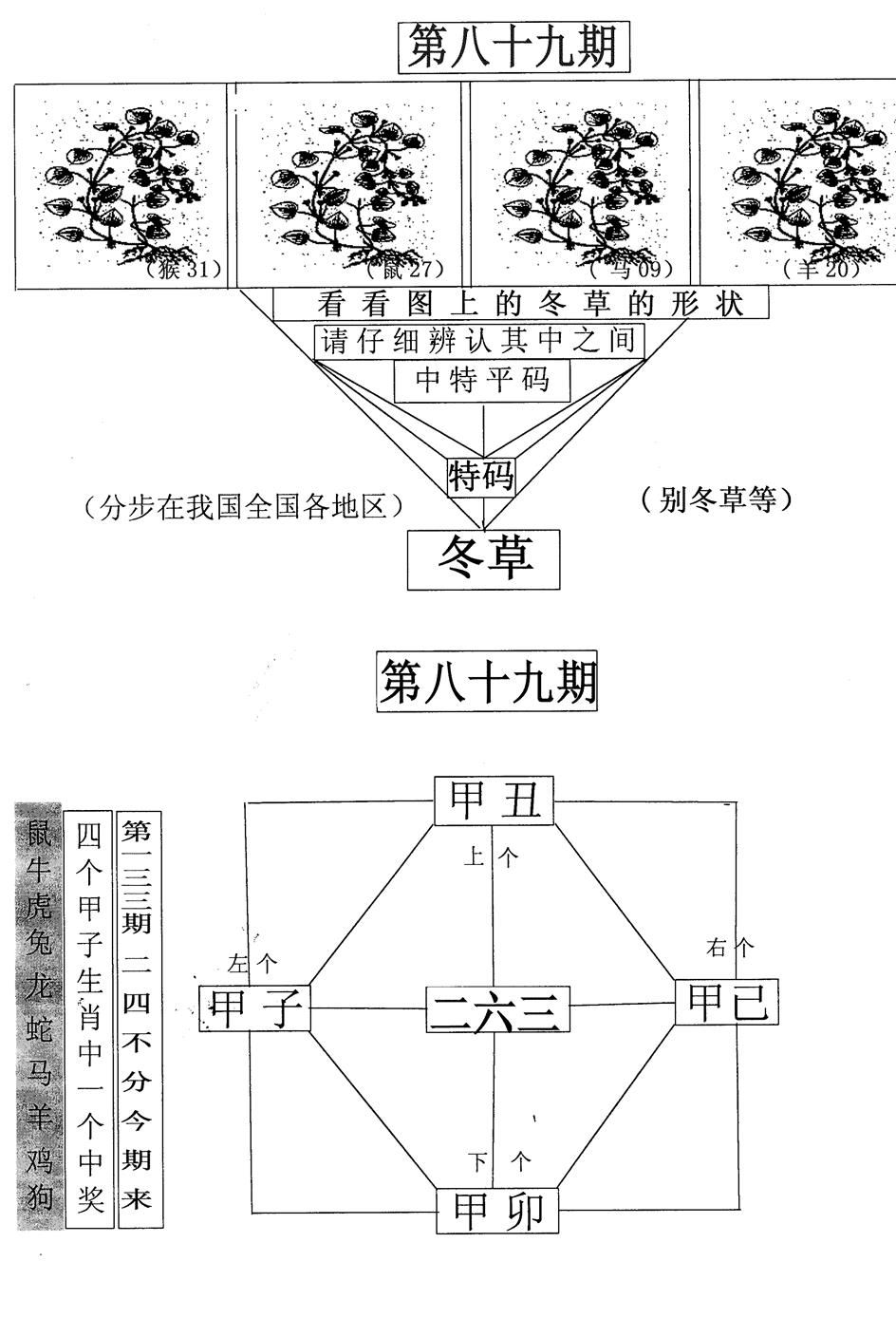 六合彩089期每期一花草(黑白)