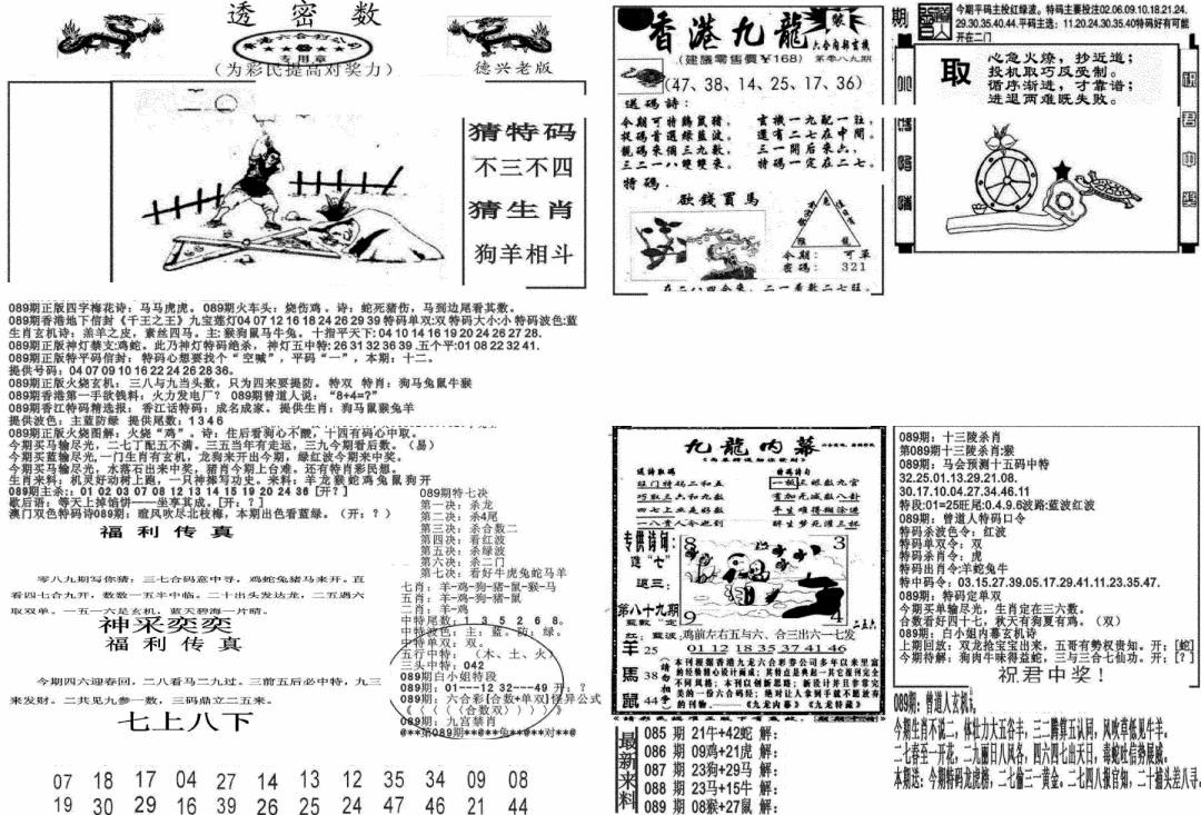 六合彩089期新透密数A(新)(黑白)