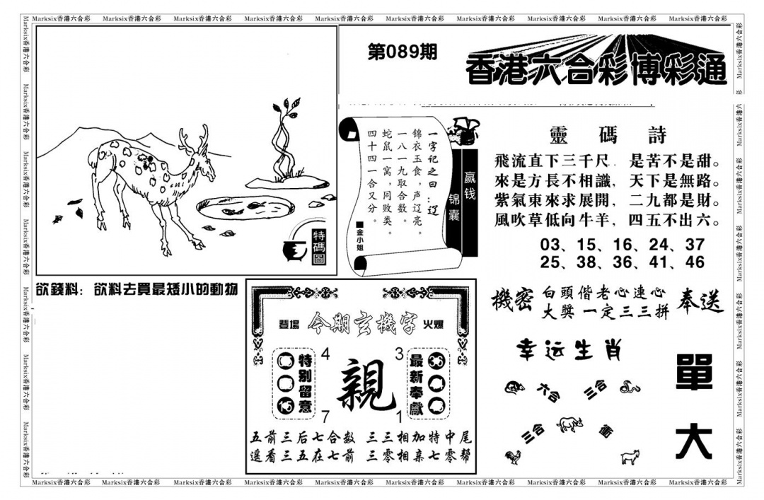 六合彩089期白小姐博彩绝密A(新图)(黑白)