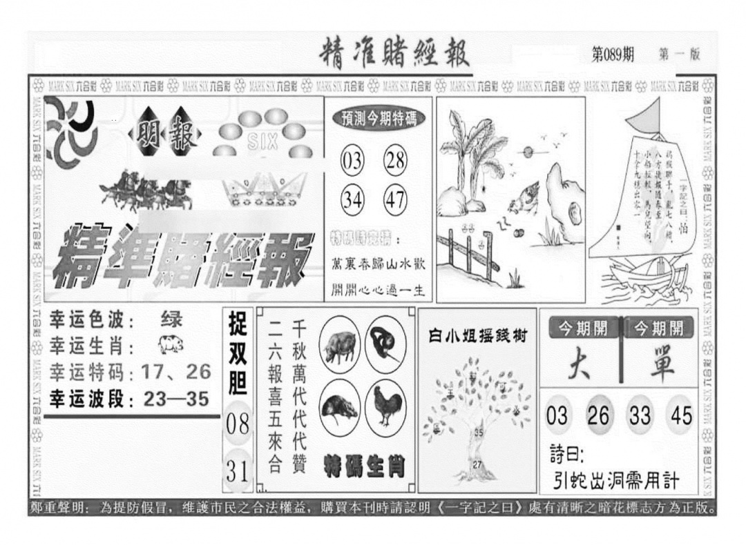 六合彩089期精准赌经报A（新图）(黑白)