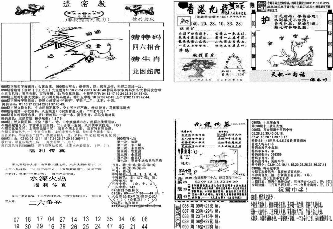 六合彩090期新透密数A(新)(黑白)
