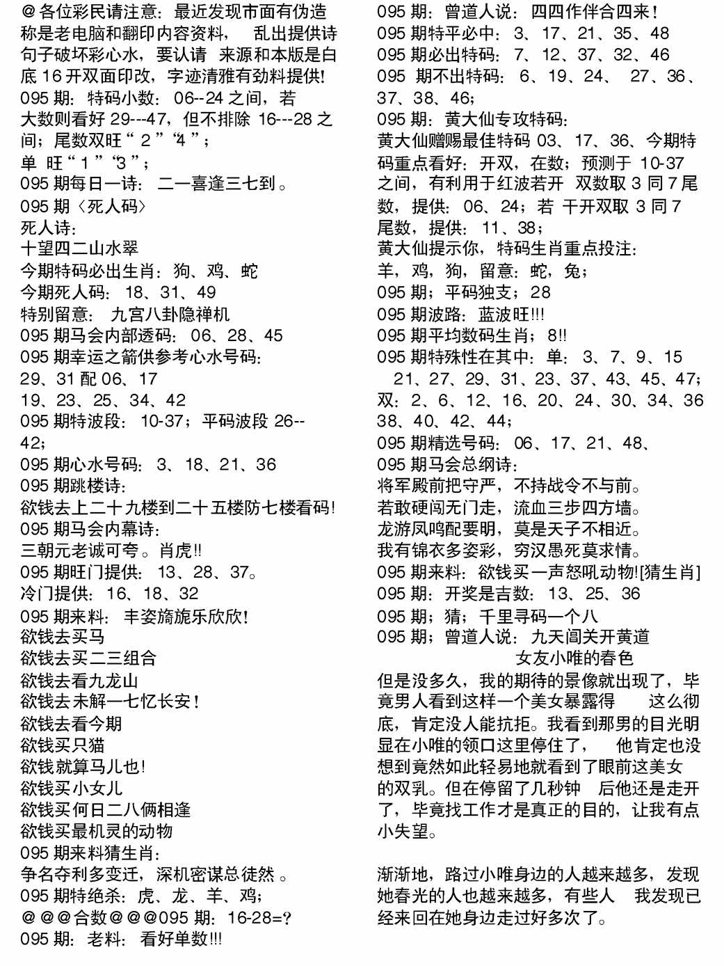 六合彩095期当日电脑综合资料B(黑白)