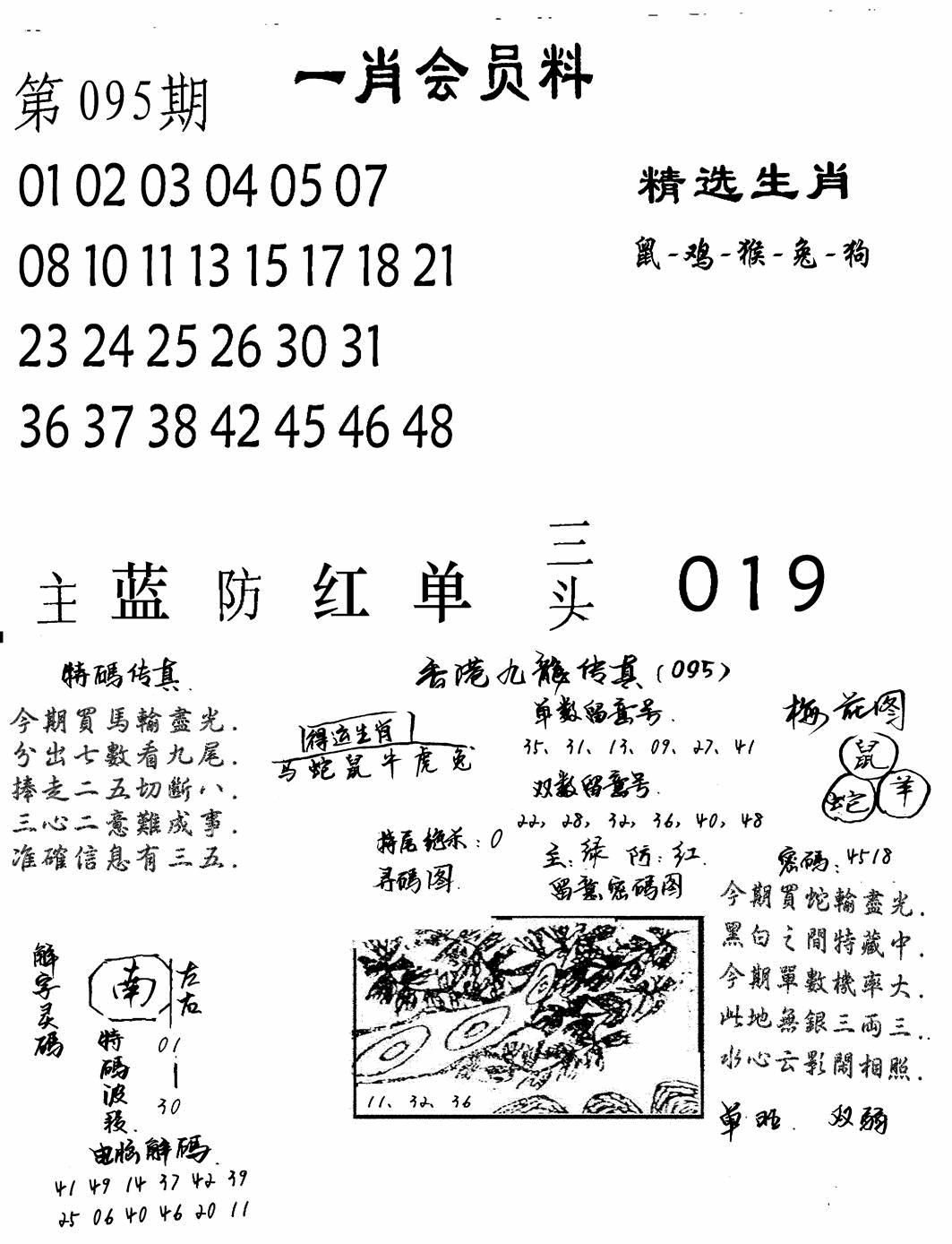 六合彩095期一肖会员料(黑白)