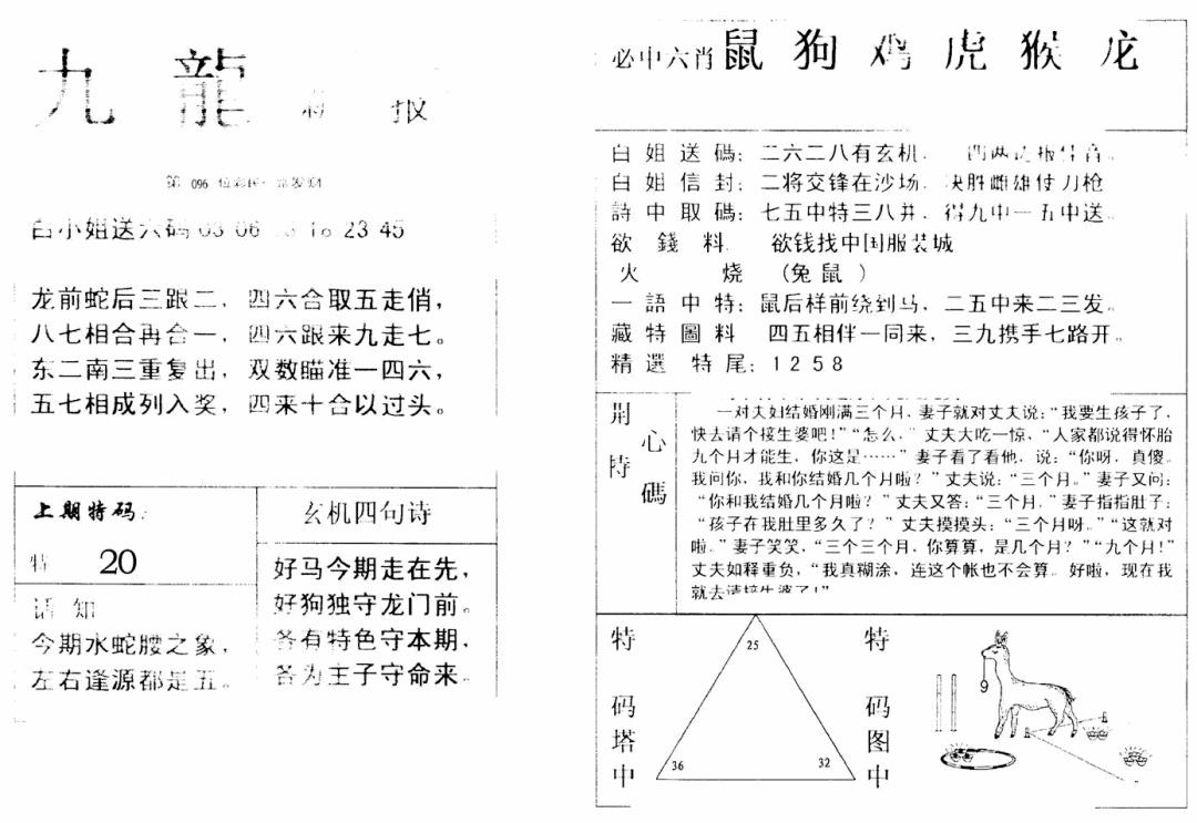 六合彩096期九龙新报(新)(黑白)