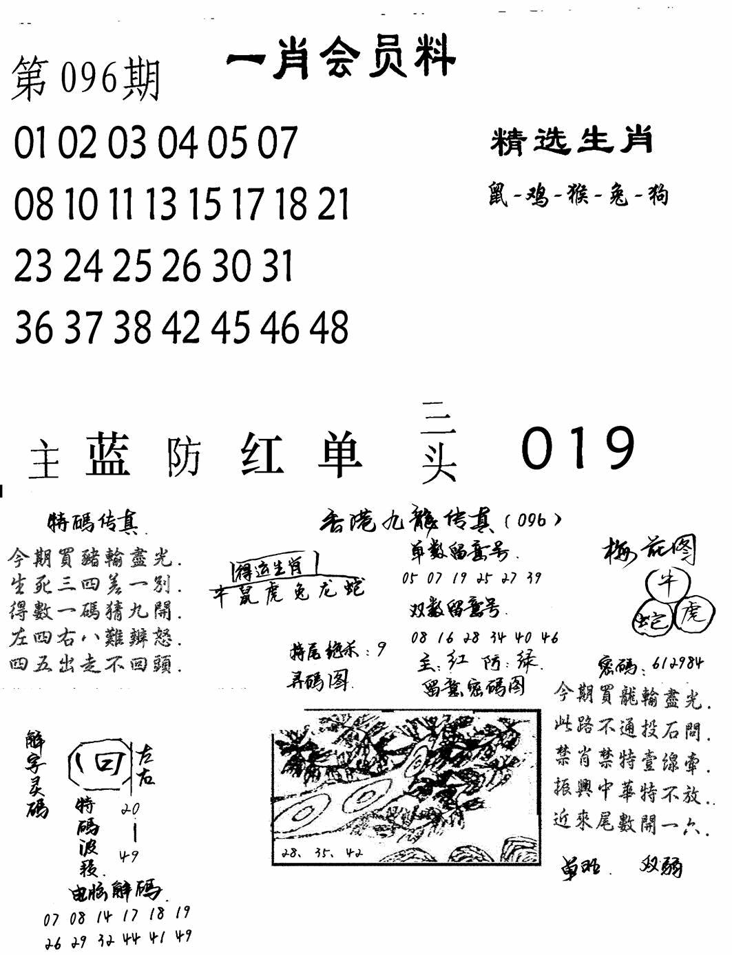 六合彩096期一肖会员料(黑白)