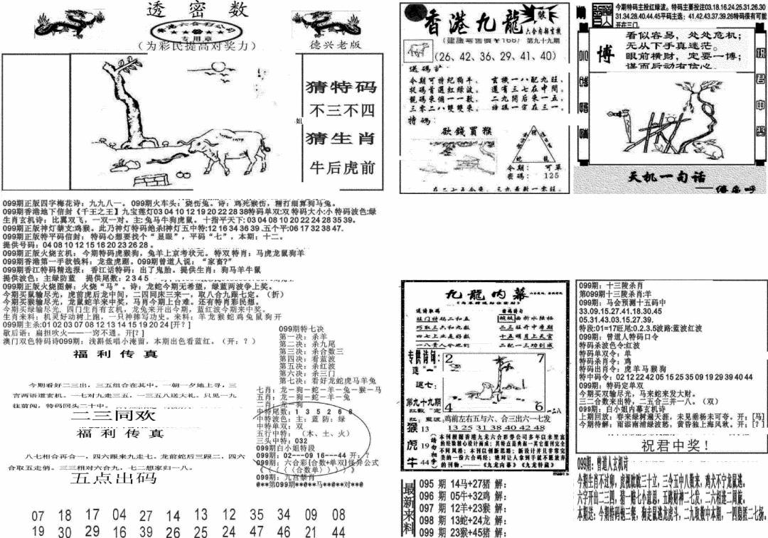 六合彩099期新透密数A(新)(黑白)