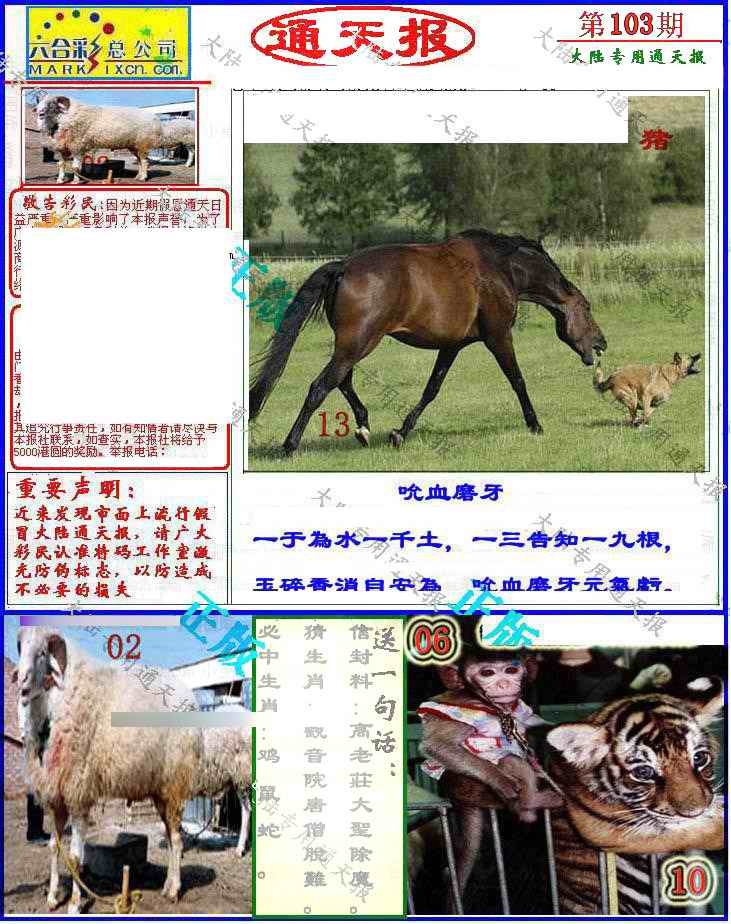 六合彩103期大陆通天报