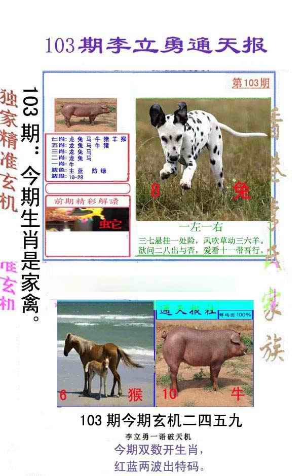 六合彩103期李立勇通天报