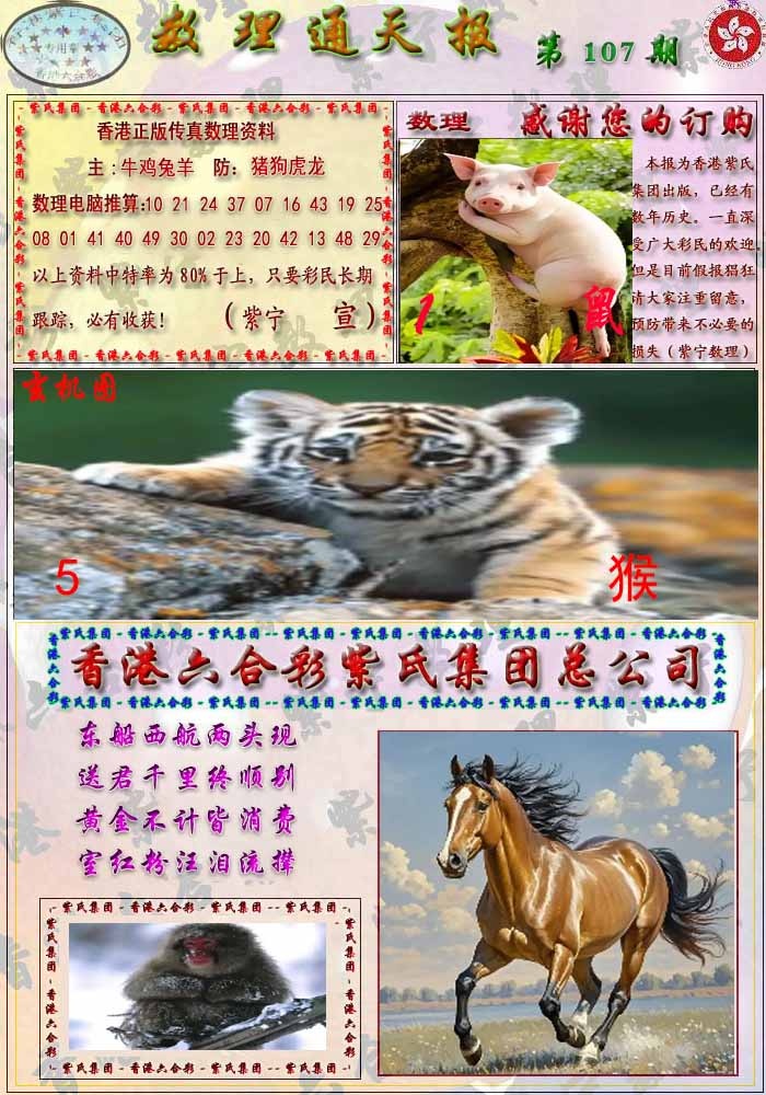 六合彩107期数通报