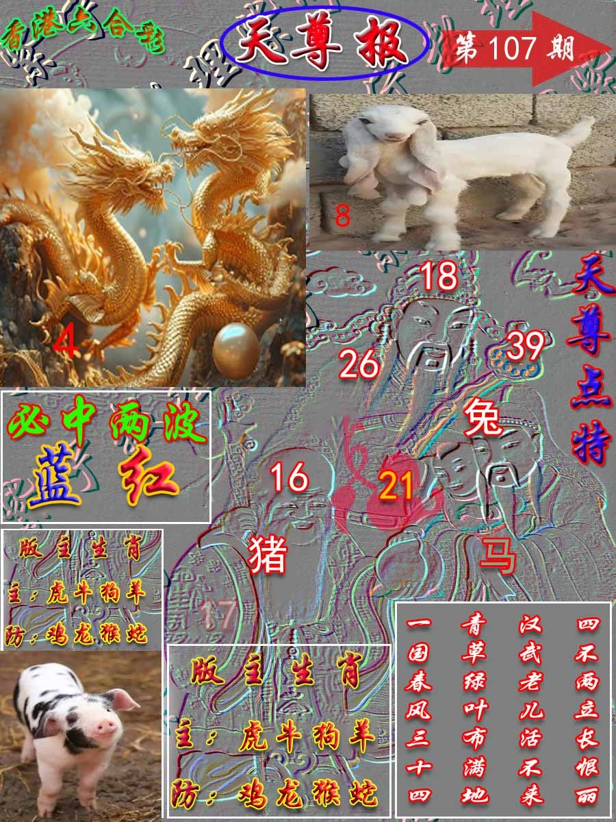 六合彩107期天尊报