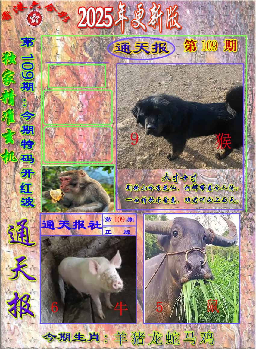 六合彩109期新通报