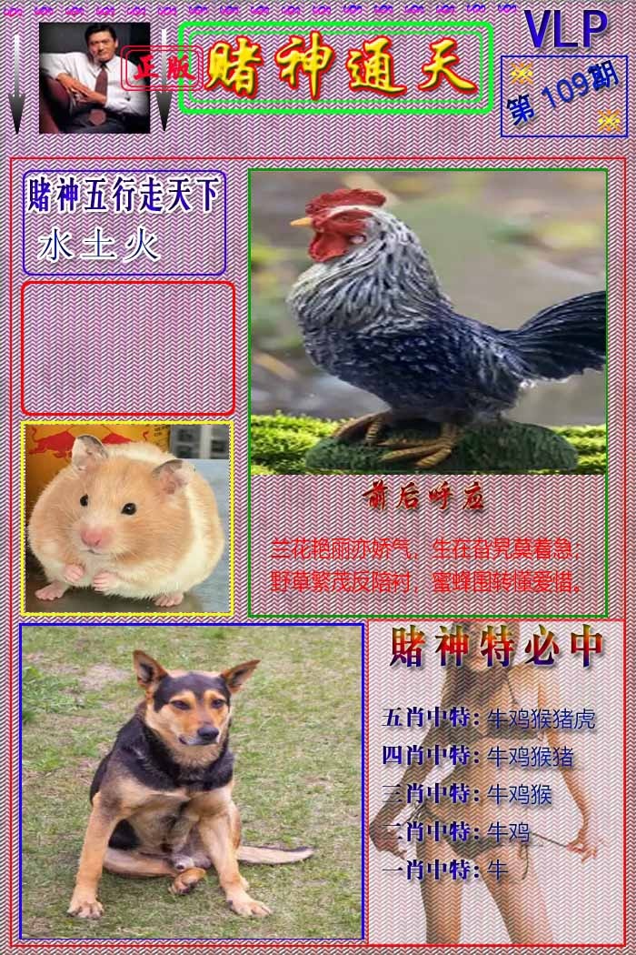 六合彩109期赌神通天报