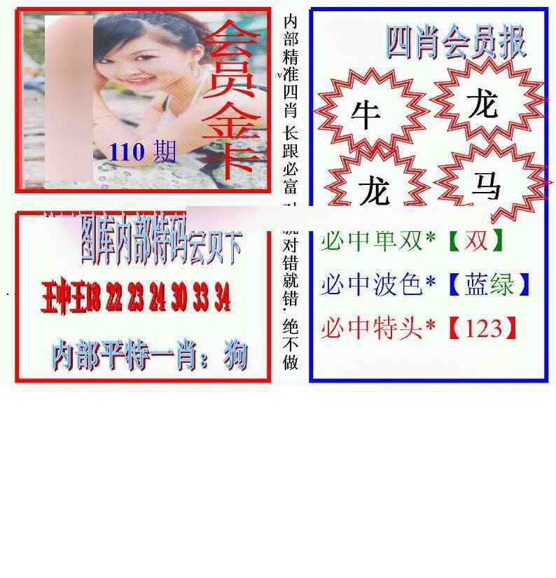 六合彩110期马经四肖会员报(新图)