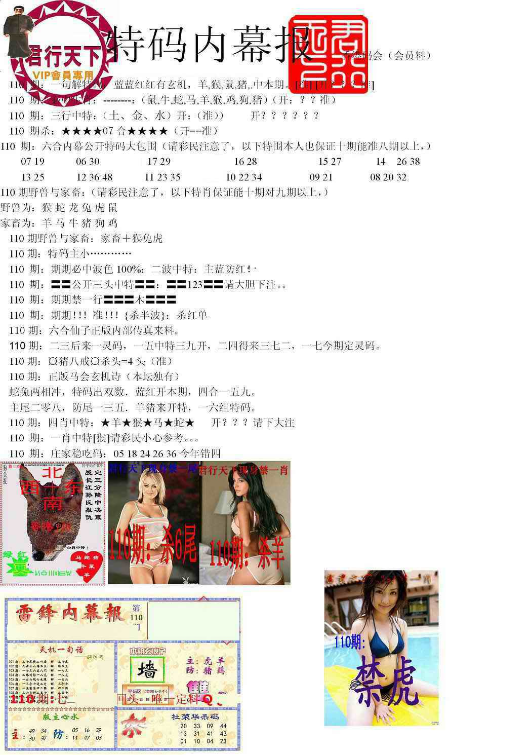 六合彩110期特码内幕报