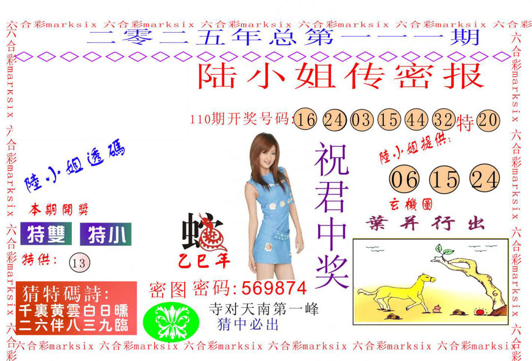 六合彩111期陆小姐传密A