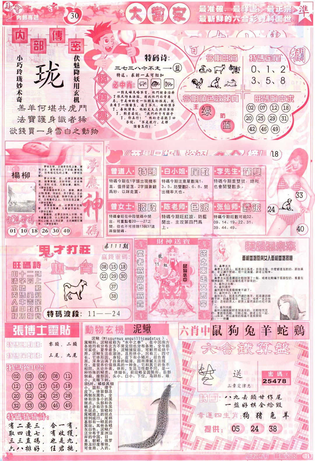 六合彩111期彩卷后庄B(保证香港版)