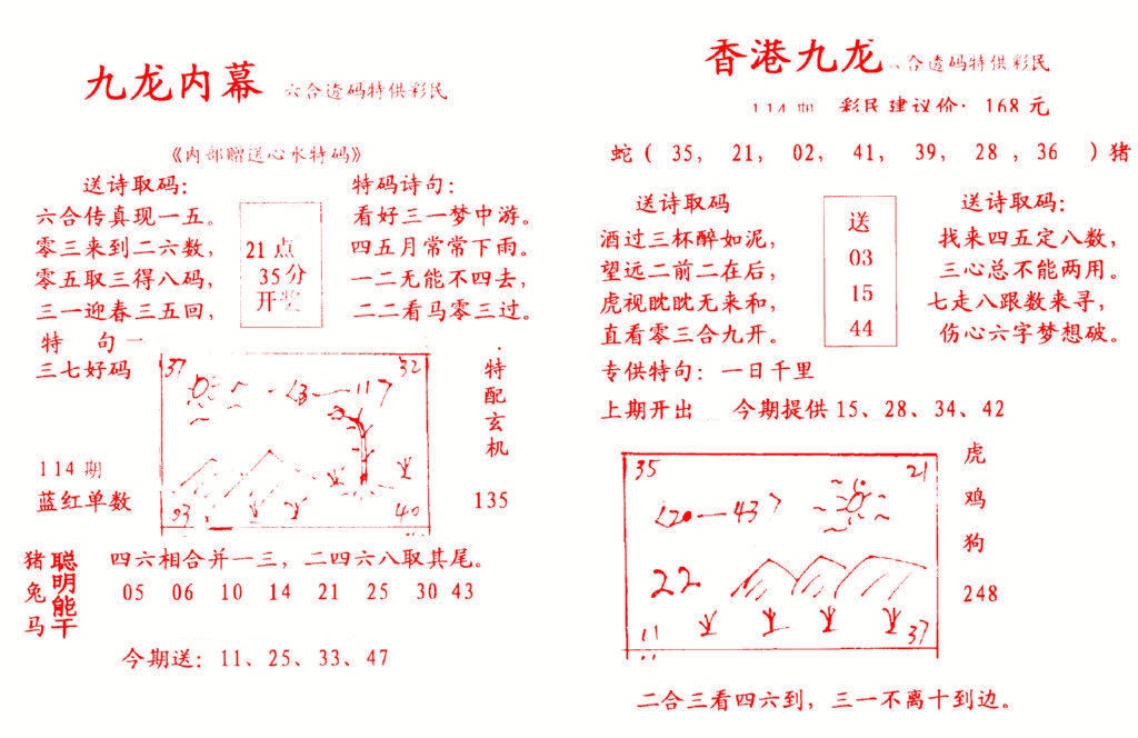 六合彩114期九龙内幕