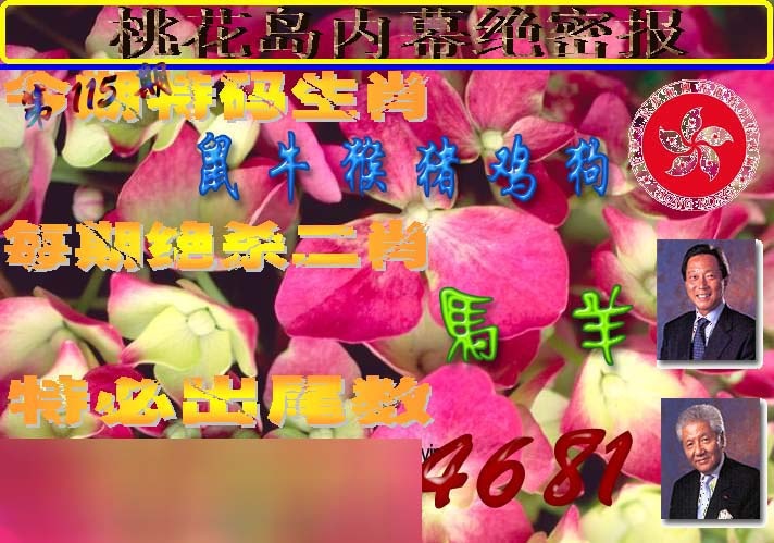 六合彩115期桃花岛内幕报