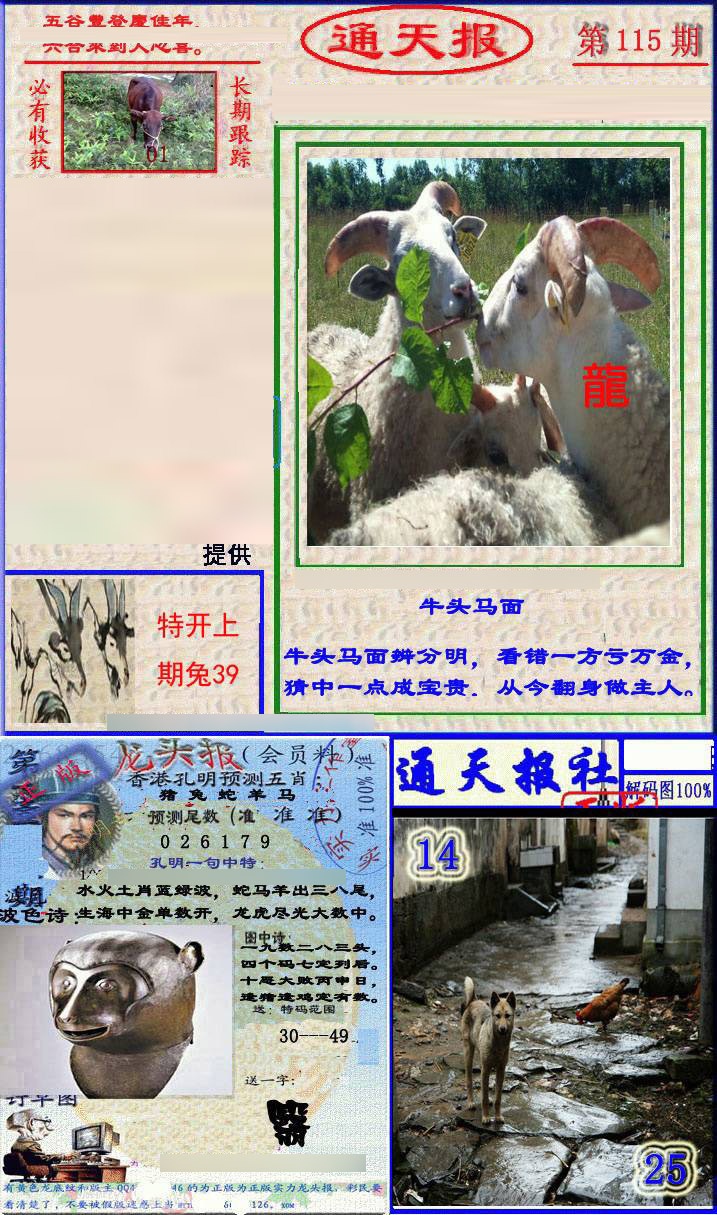 六合彩115期实力通天报