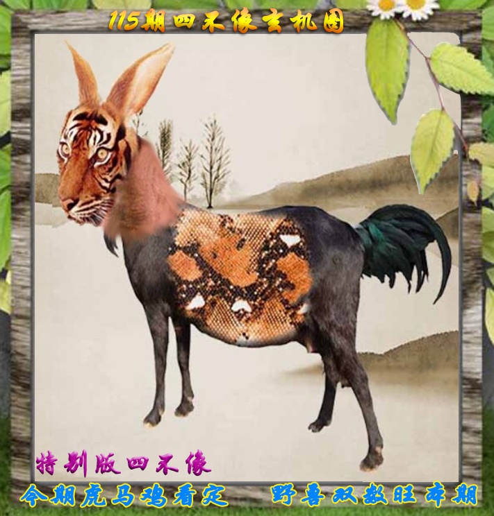 六合彩115期四不像特别版