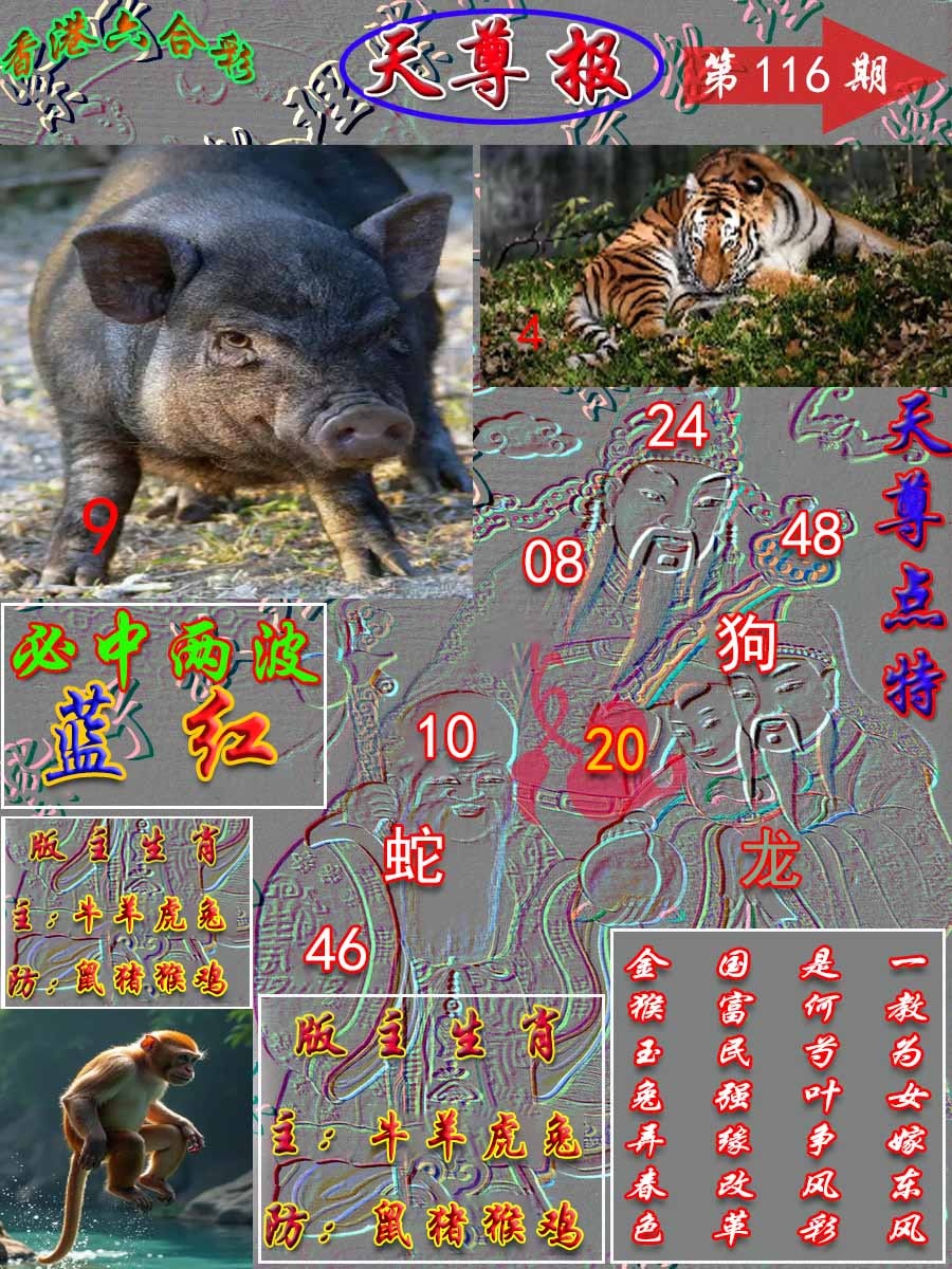 六合彩116期天尊报