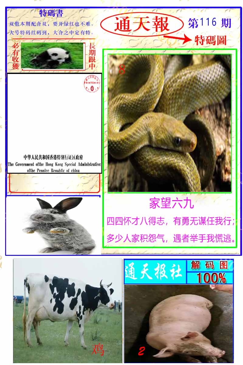 六合彩116期通天特解图