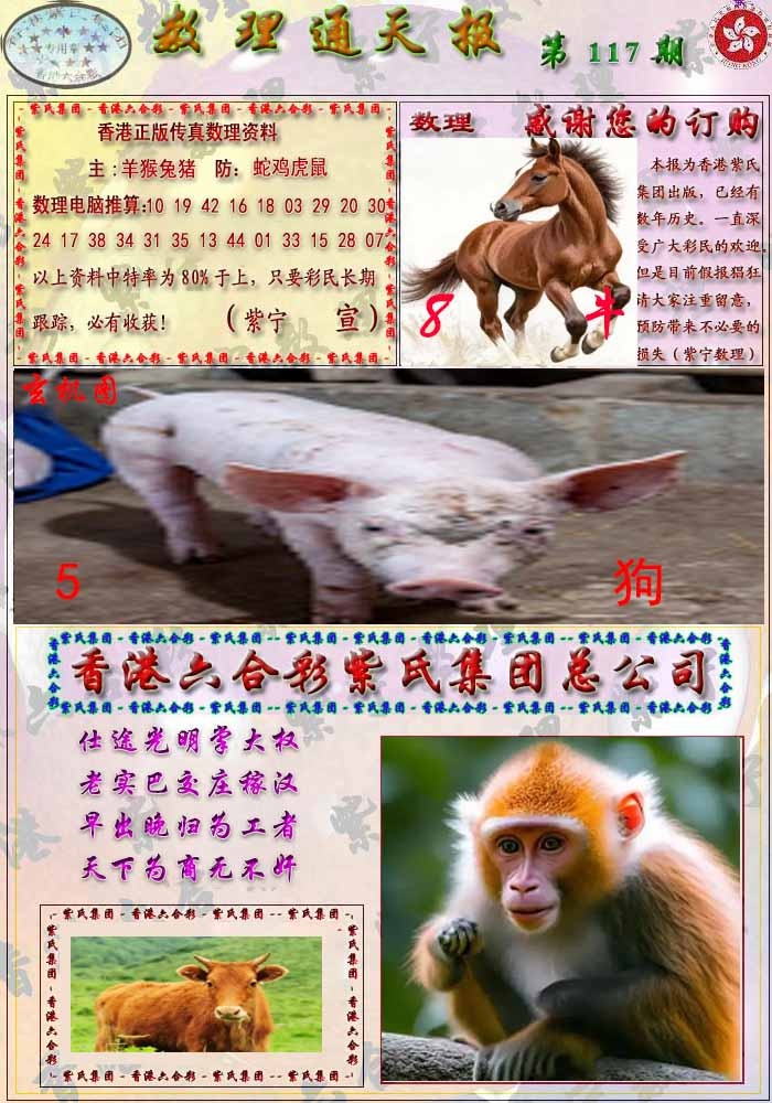 六合彩117期数通报