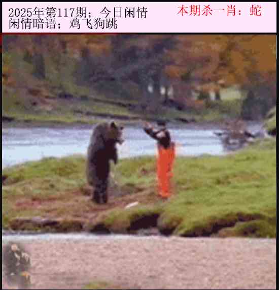 六合彩117期今日闲情