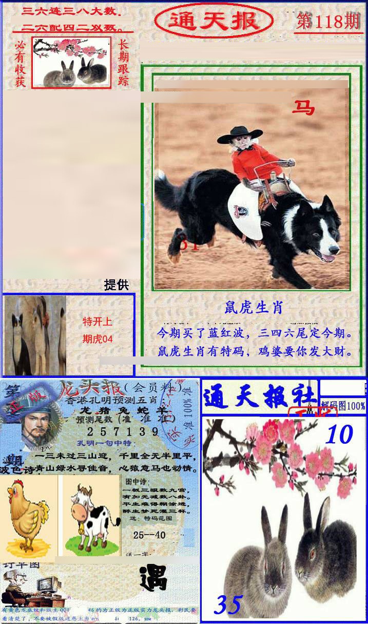 六合彩118期实力通天报