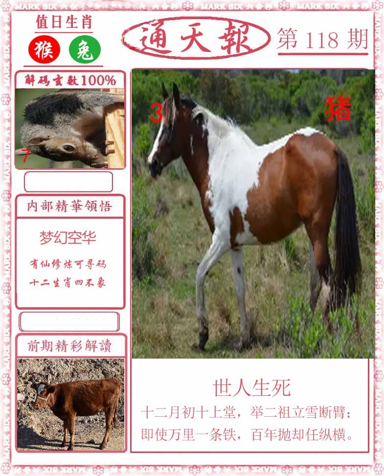 六合彩118期正版通天报