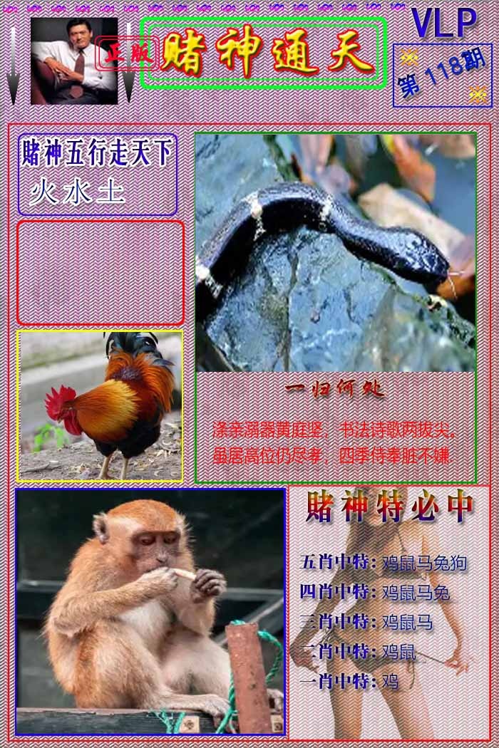 六合彩118期赌神通天报