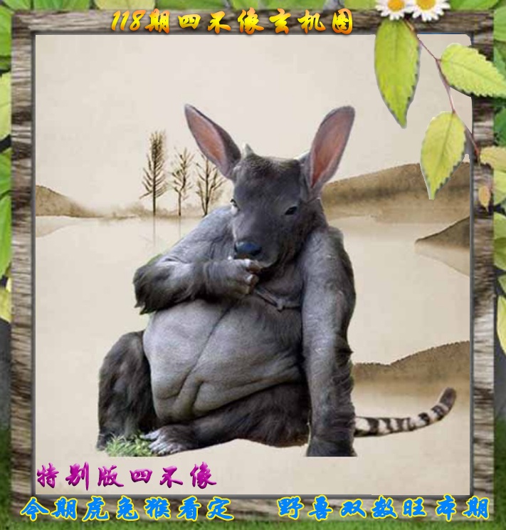 六合彩118期四不像特别版