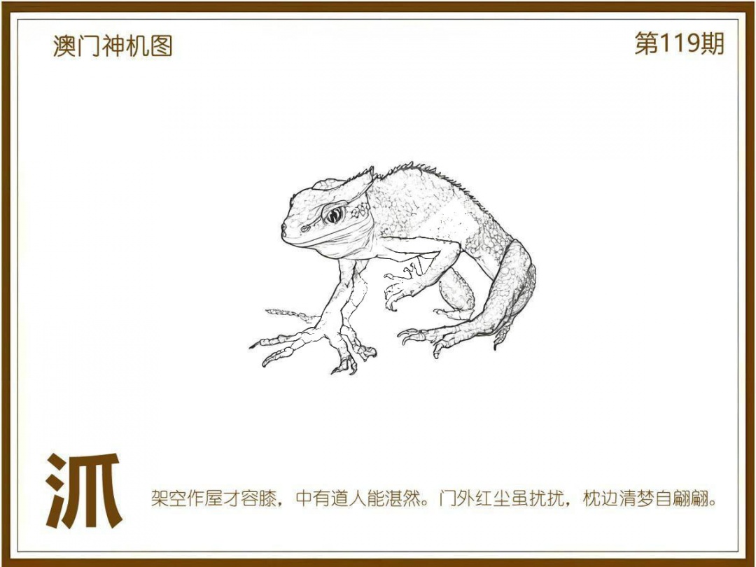 六合彩119期澳门神机图