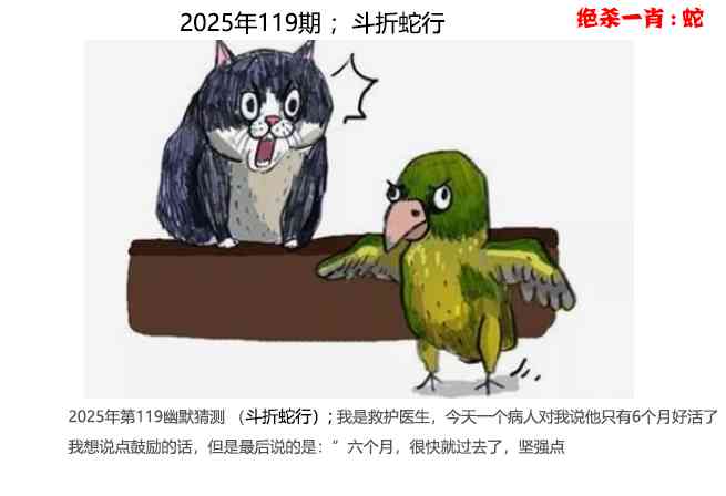 六合彩119期幽默猜测